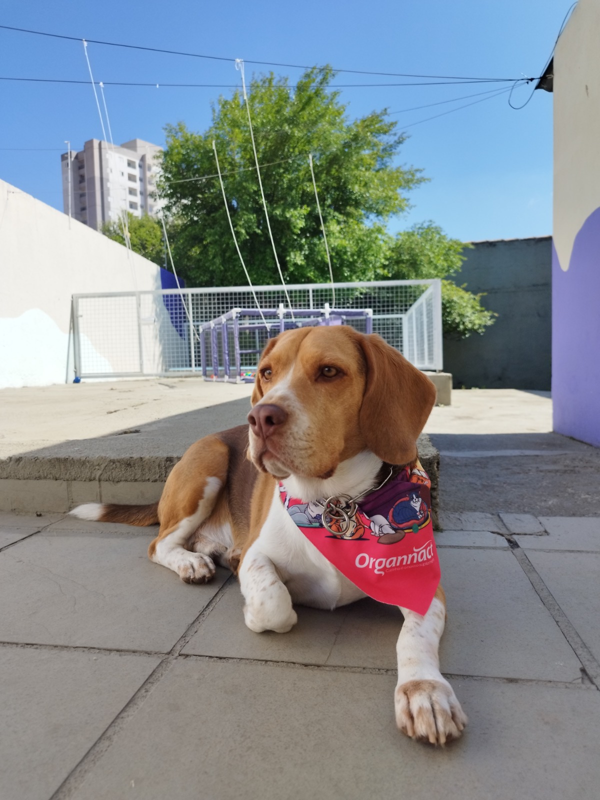 Foto Auzen 9