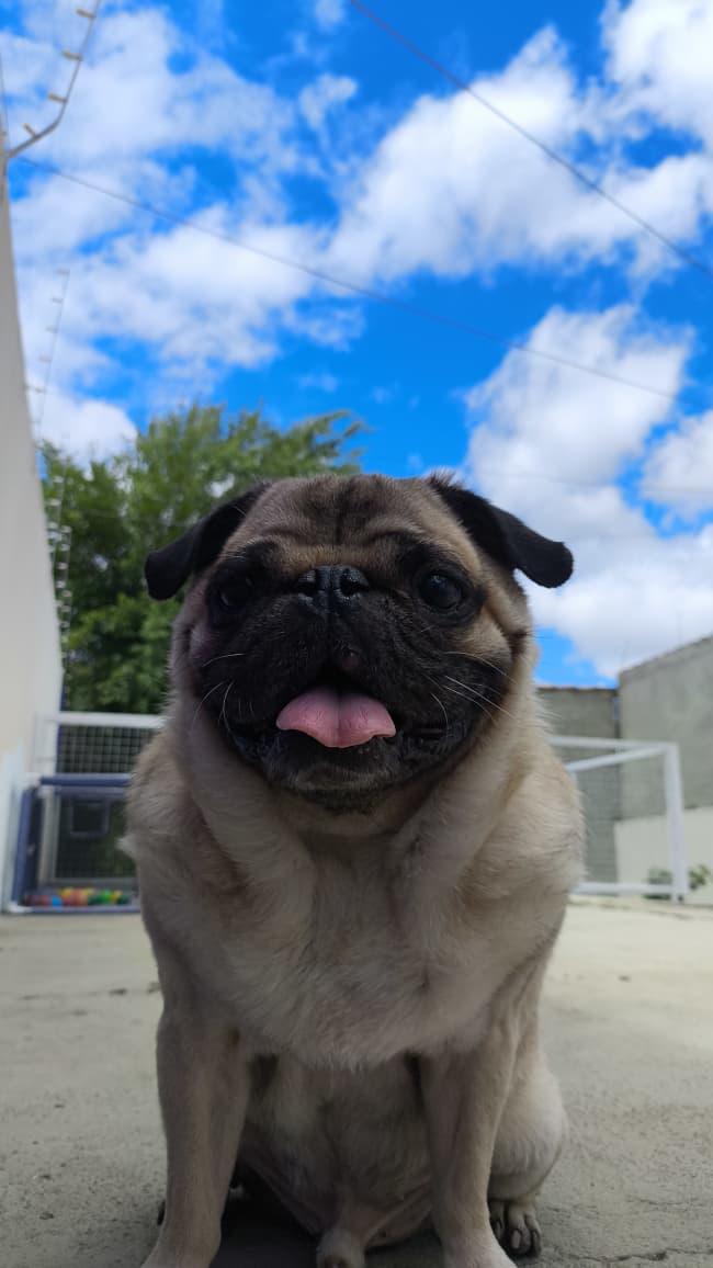 Foto Dostozen
